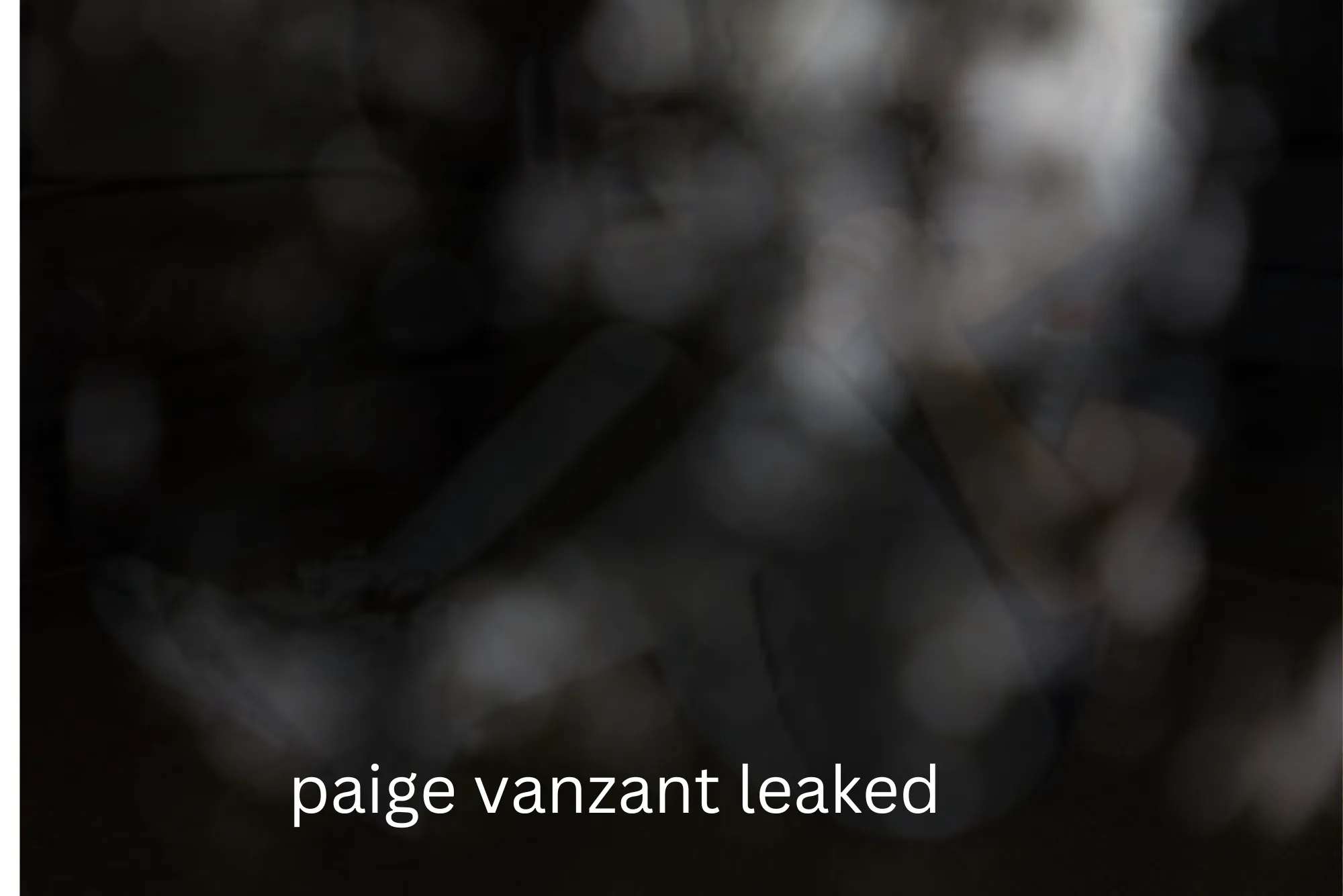 Paige Vanzant Leaked